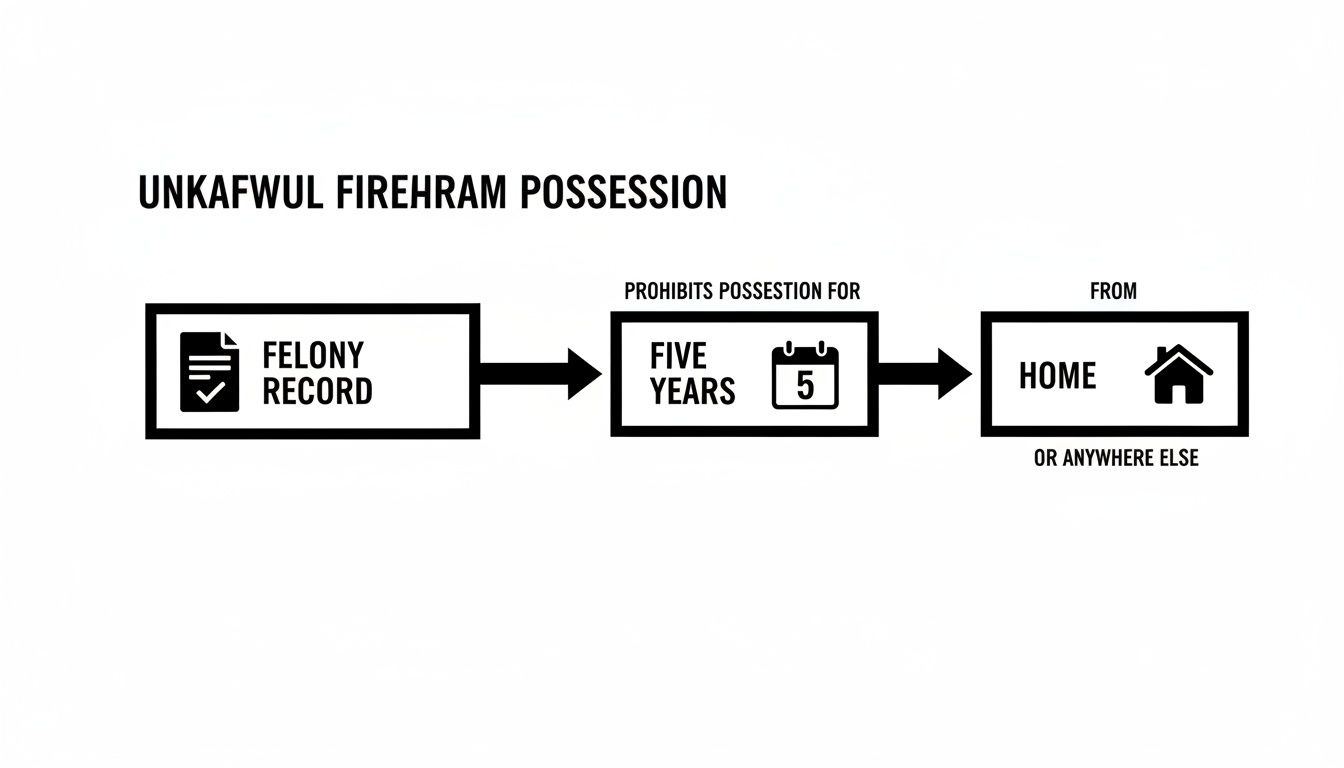 Infographic shows a felony record prohibits firearm possession for five years from home or anywhere else.