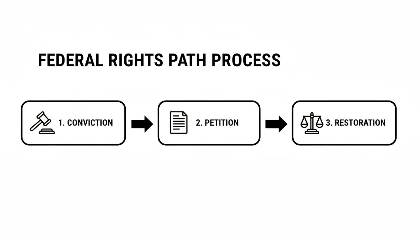 A flow chart illustrating the federal rights path process: conviction, petition, and restoration steps.