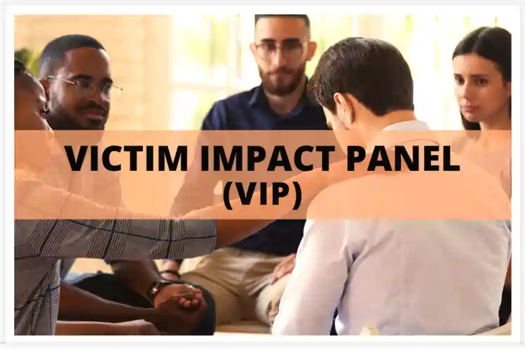 key differences between dwi victim impact panel and similar offenses, vip